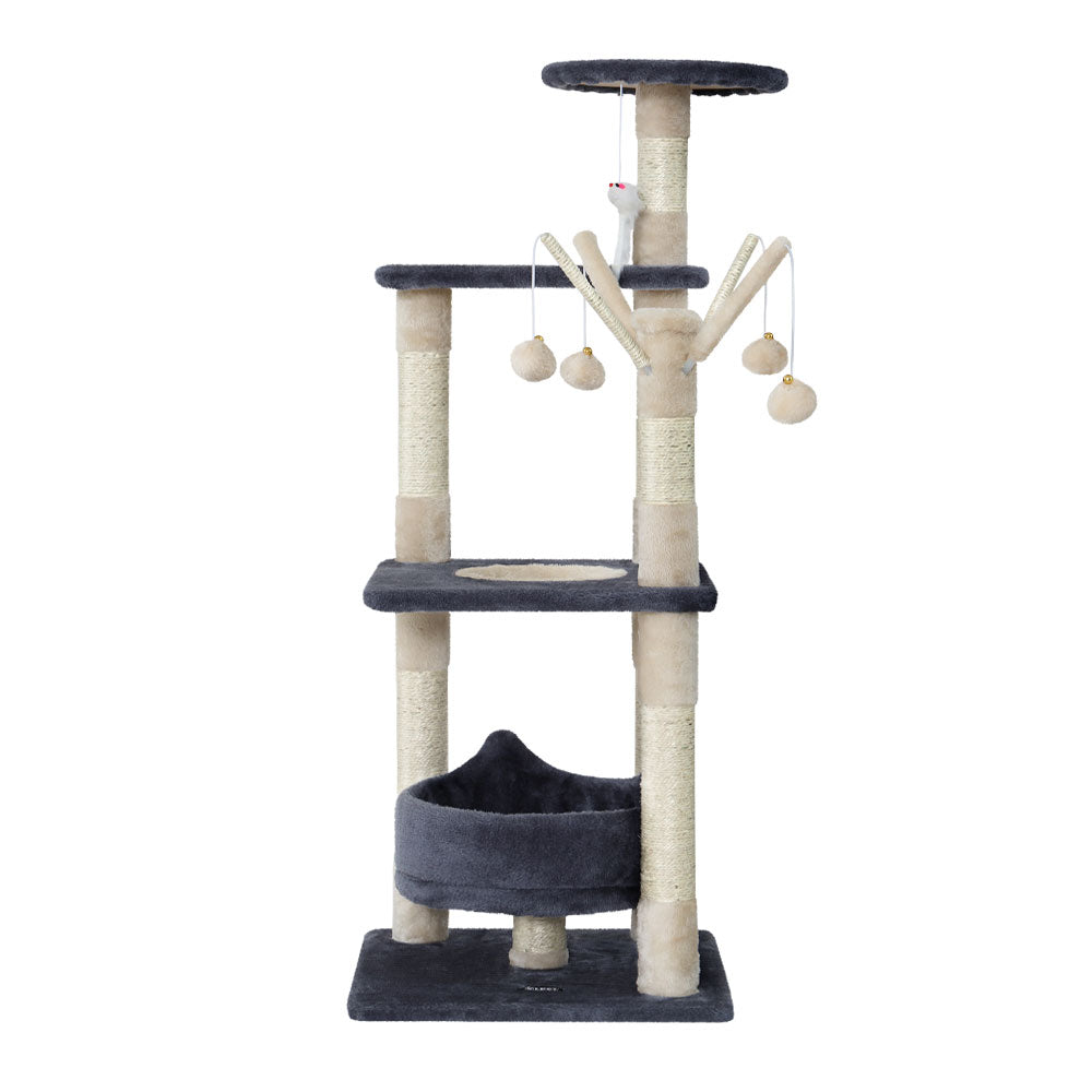 PET-CAT-FL025-GR-35491-02.jpg