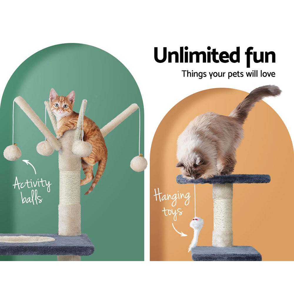 PET-CAT-FL025-GR-35491-03.jpg