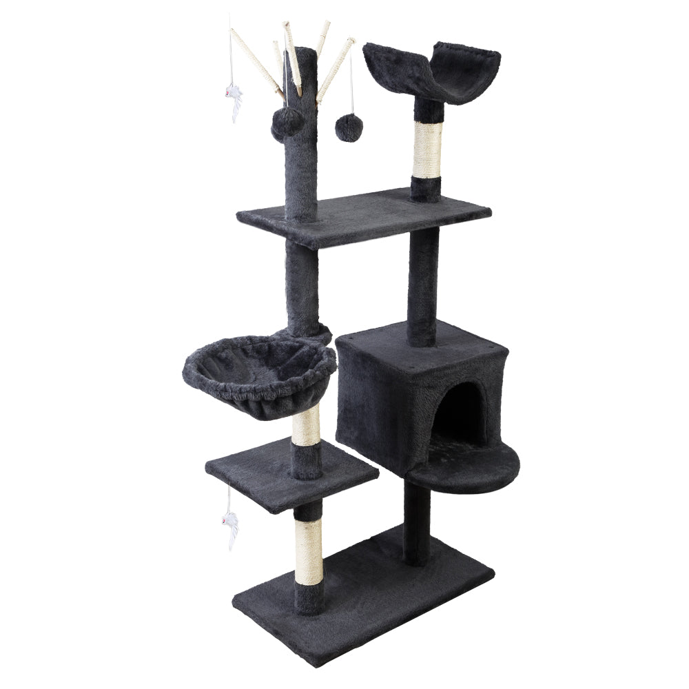 PET-CAT-FL08-GR-16630-00.jpg