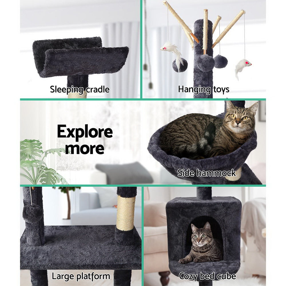 PET-CAT-FL08-GR-16630-04.jpg