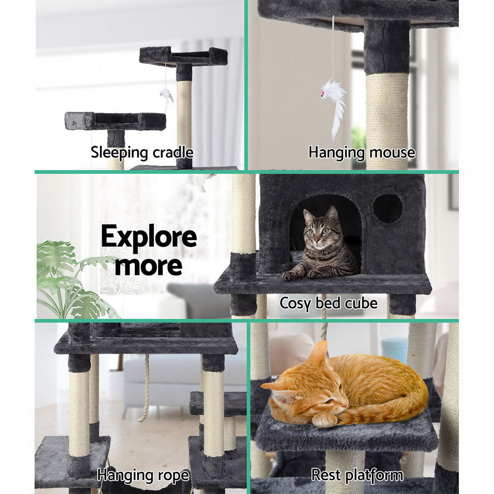 PET-CAT-FL09-GR-16631-04.jpg
