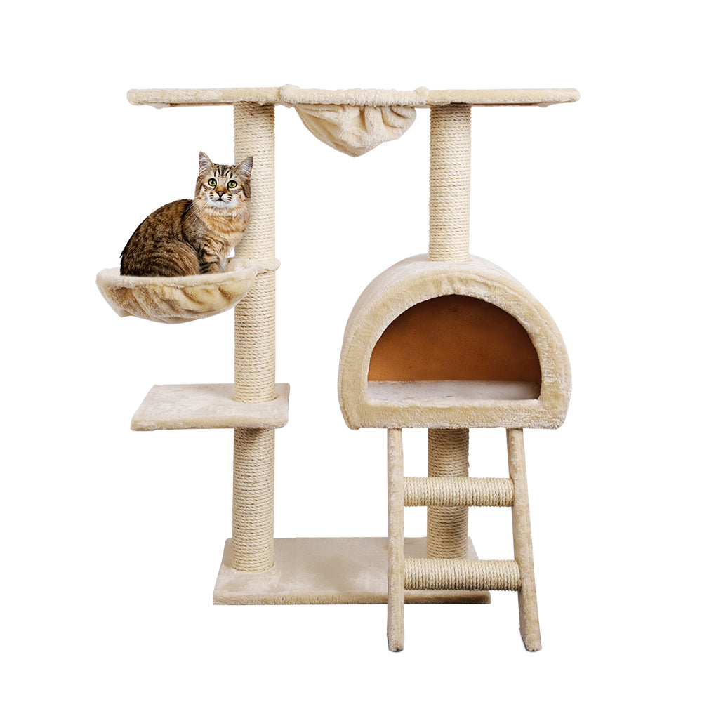 PET-CAT-HSCT003-BE-2224-00.jpg