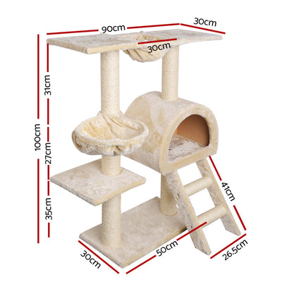 PET-CAT-HSCT003-BE-2224-01.jpg