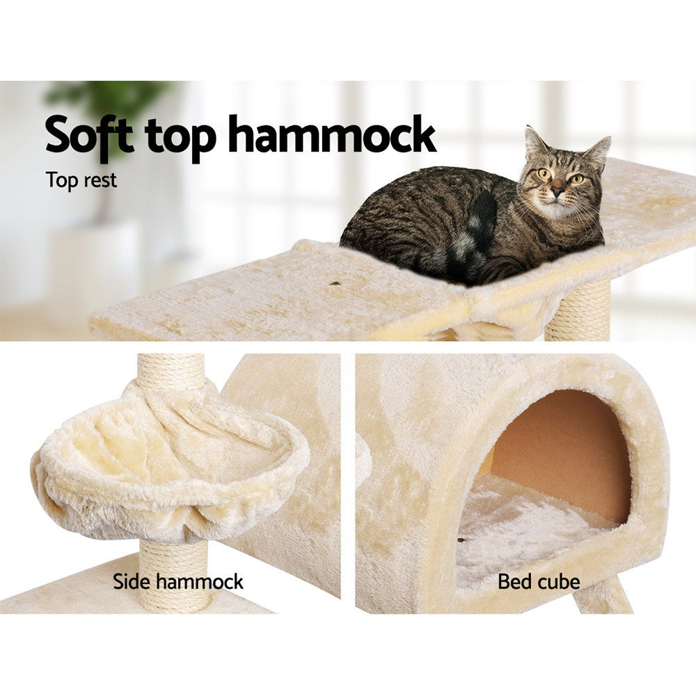 PET-CAT-HSCT003-BE-2224-04.jpg