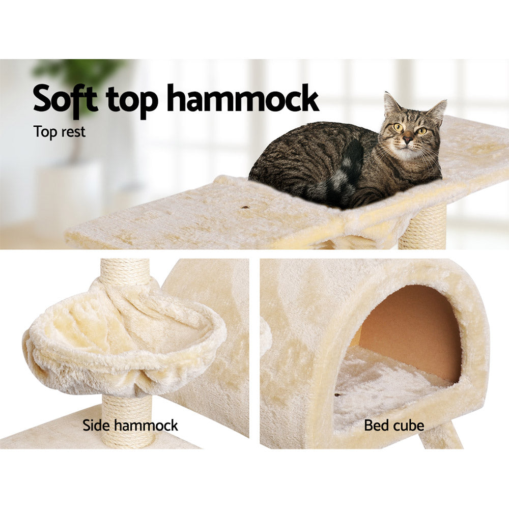 PET-CAT-HSCT003-BE-2224-06.jpg