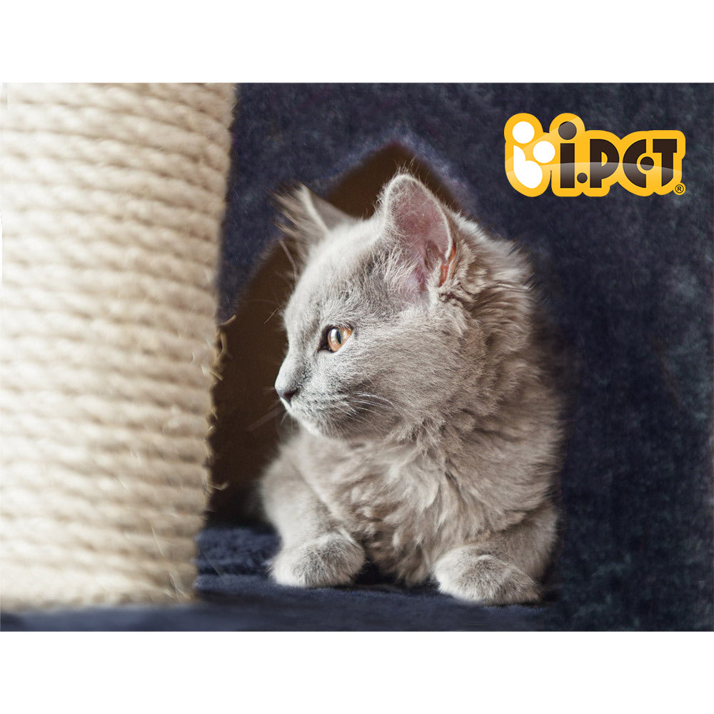 PET-CAT-HSCT015-GR-4986-05.jpg