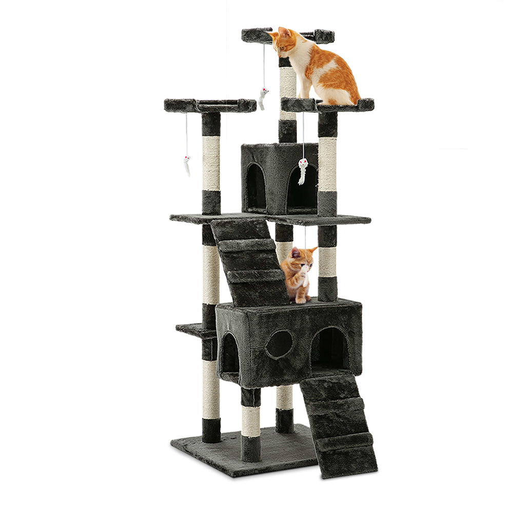 PET-CAT-HSCT076-180-GR-8325-00.jpg
