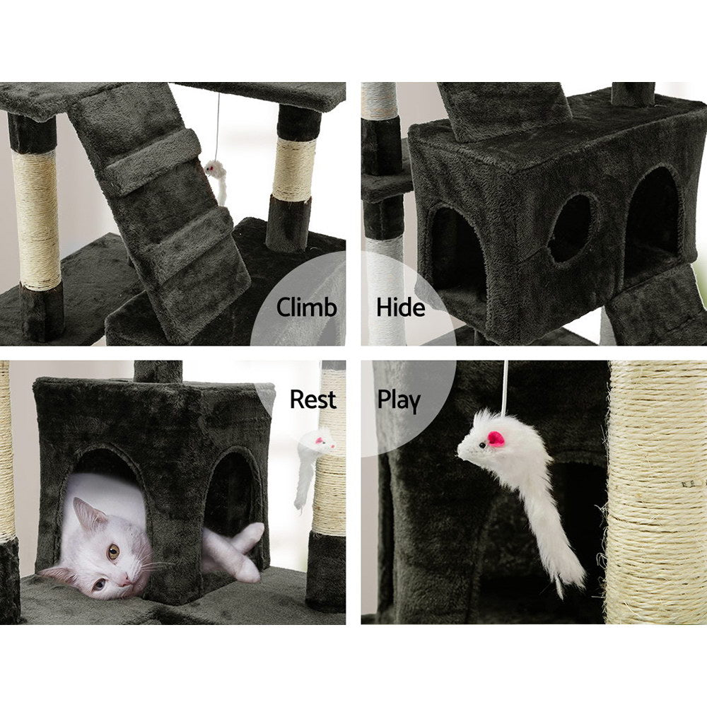 PET-CAT-HSCT076-180-GR-8325-06.jpg