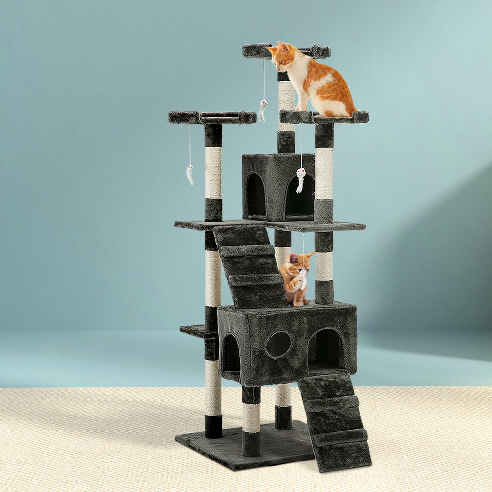 PET-CAT-HSCT076-180-GR-8325-07.jpg