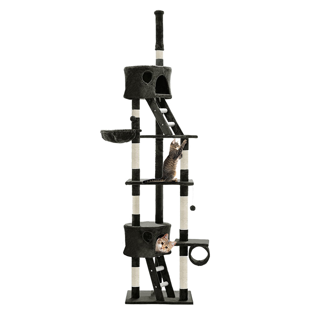 PET-CAT-HSCT260-GR-8319-00.jpg