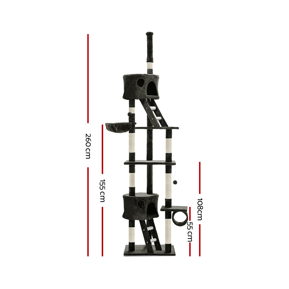 PET-CAT-HSCT260-GR-8319-01.jpg