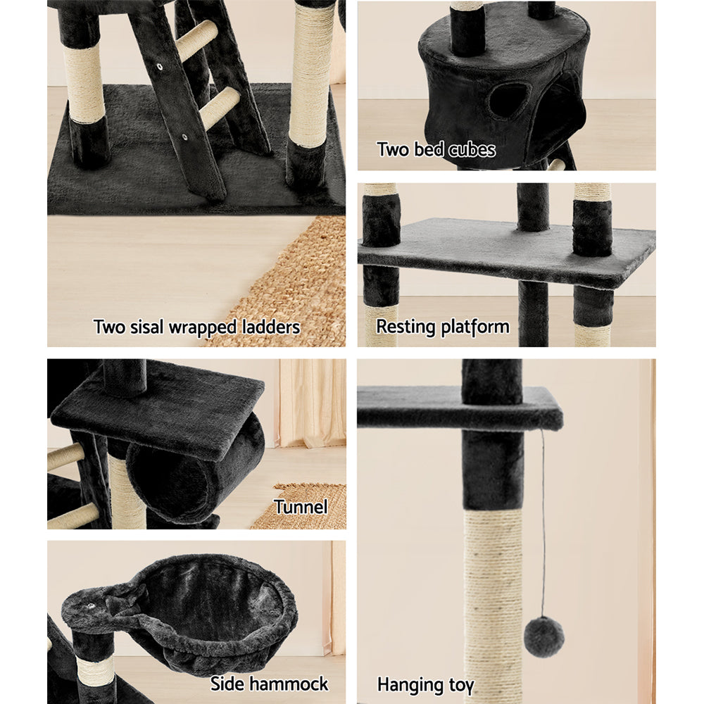 PET-CAT-HSCT260-GR-8319-05.jpg