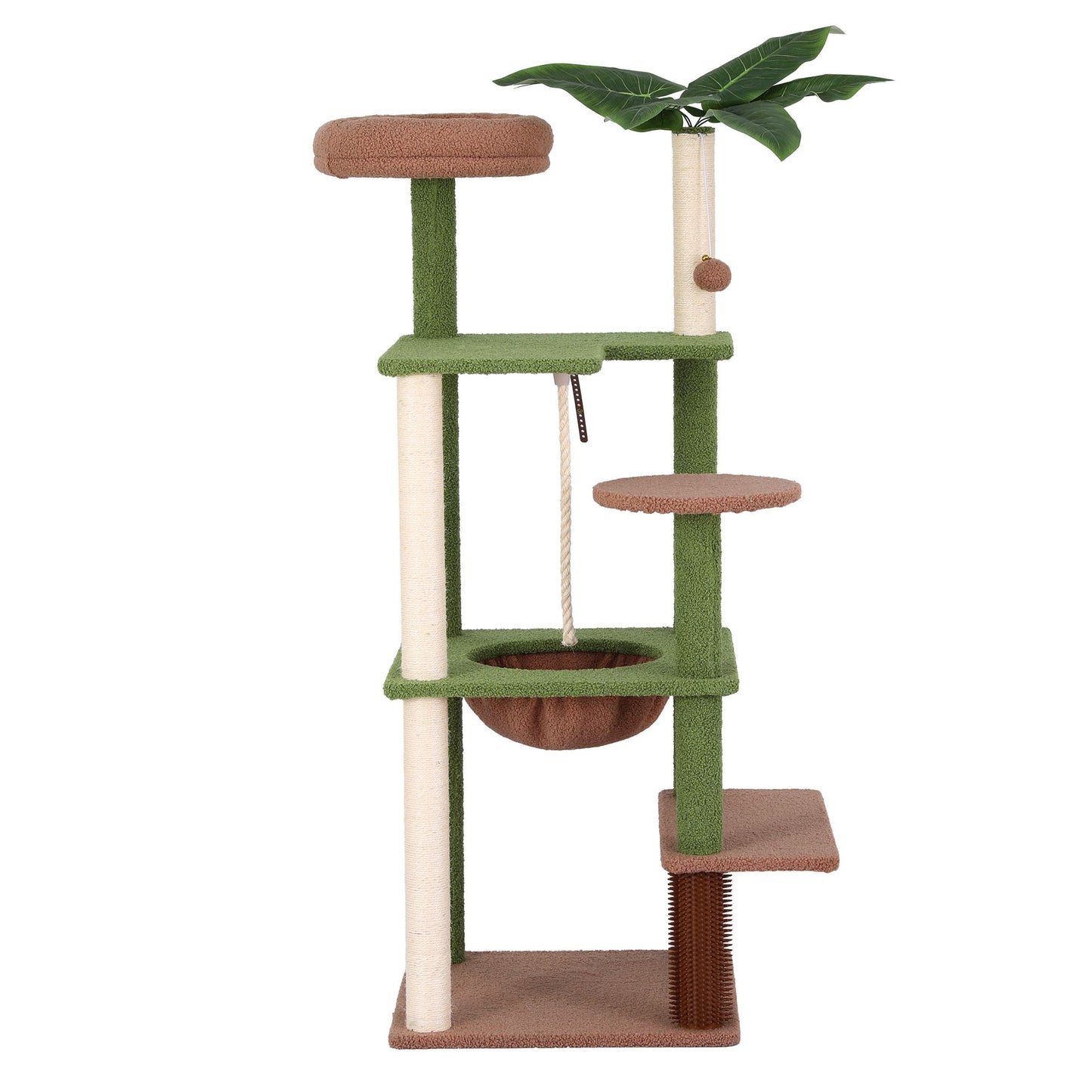 PET-CAT-L152-CT-GNBR-02.jpg