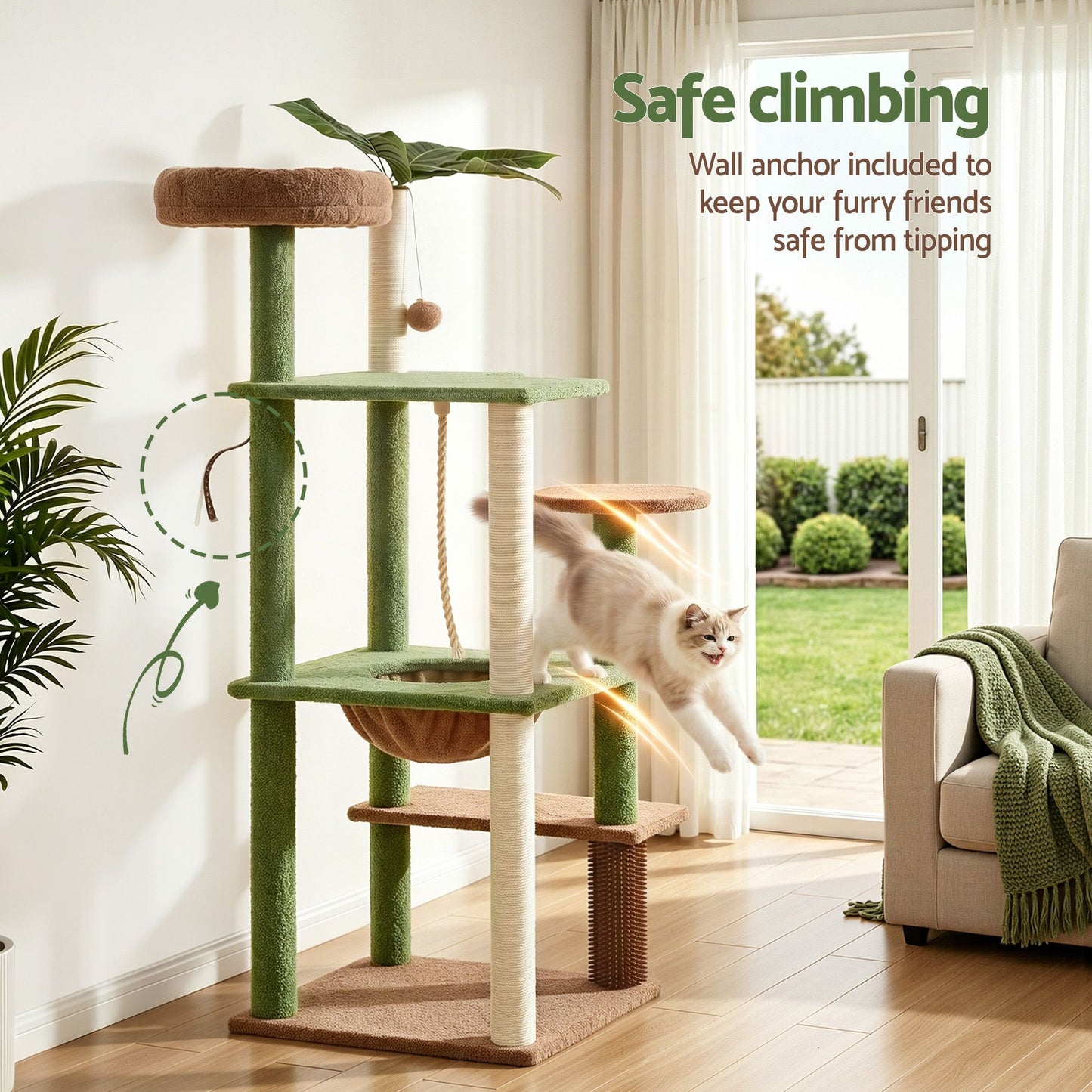PET-CAT-L152-CT-GNBR-06.jpg