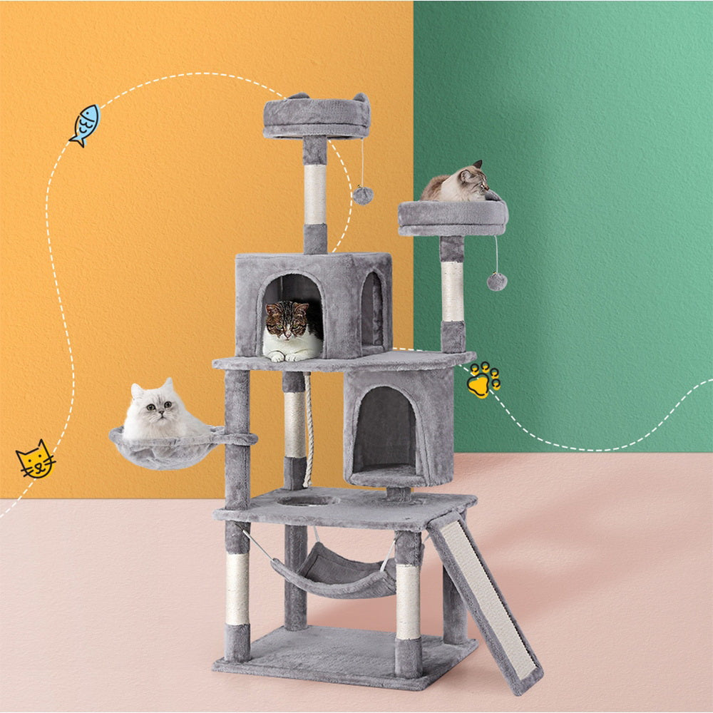 PET-CAT-L161-GR-139414-06.jpg