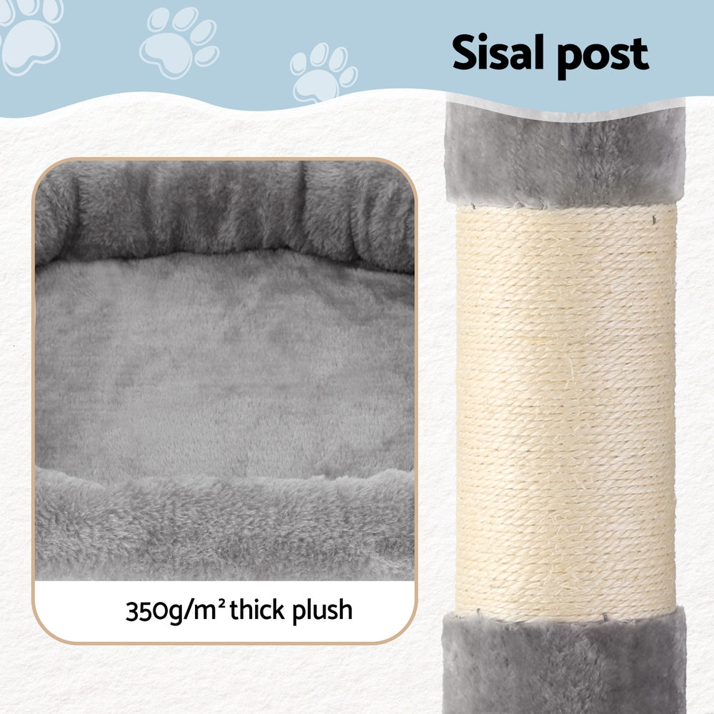 PET-CAT-L184-LTGR-202506111511-05.jpg