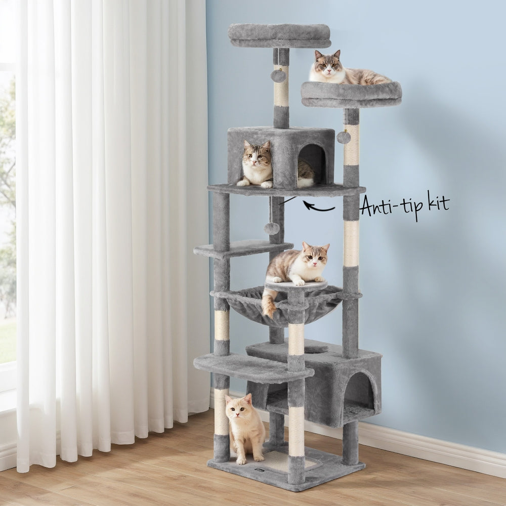 PET-CAT-L184-LTGR-202506111511-06.jpg