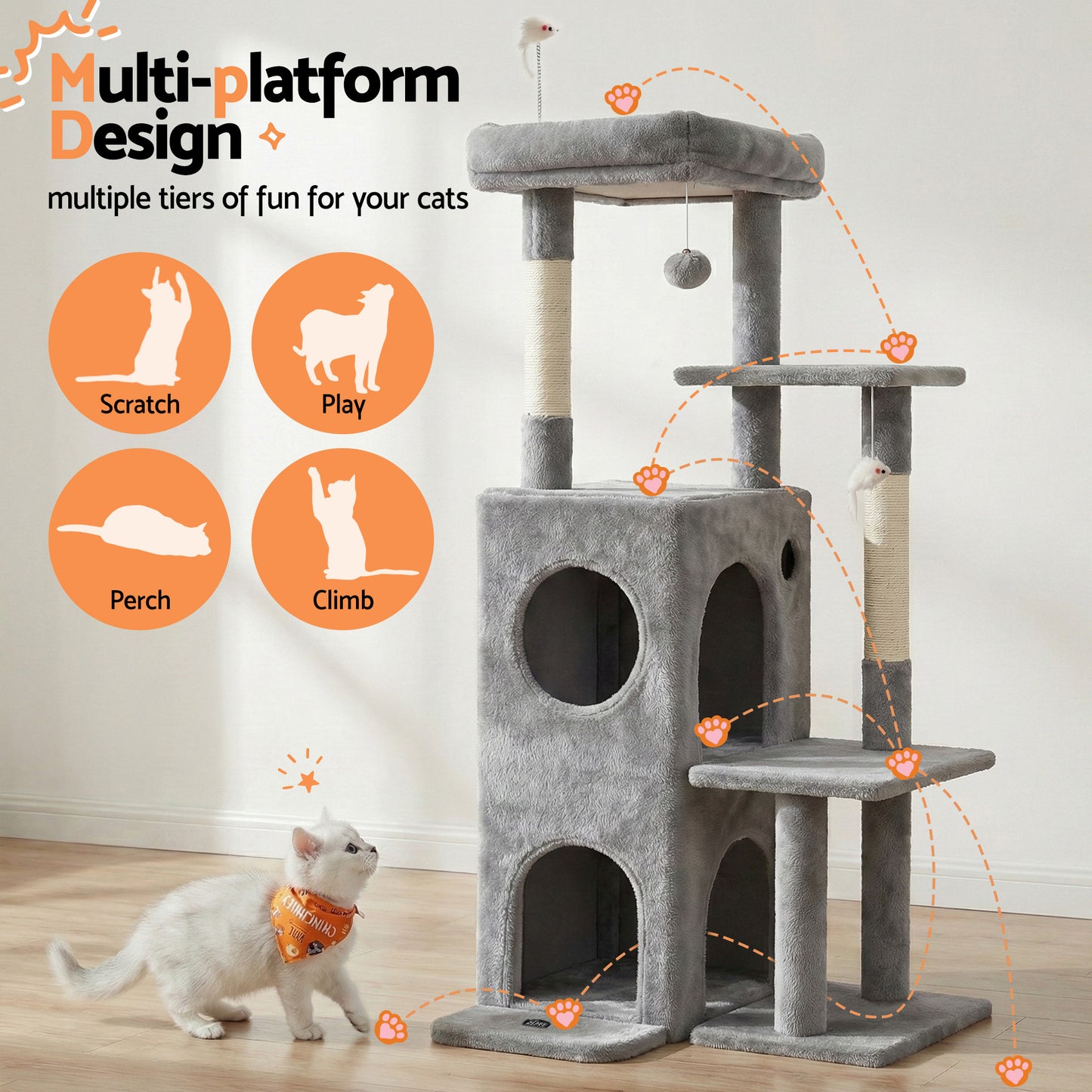 PET-CAT-M127-LTGR-202601161226-03.jpg