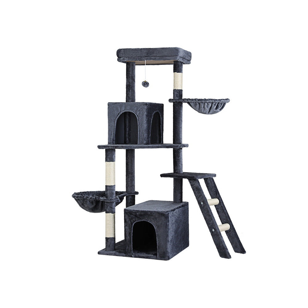 PET-CAT-M138-GR-139412-00.jpg