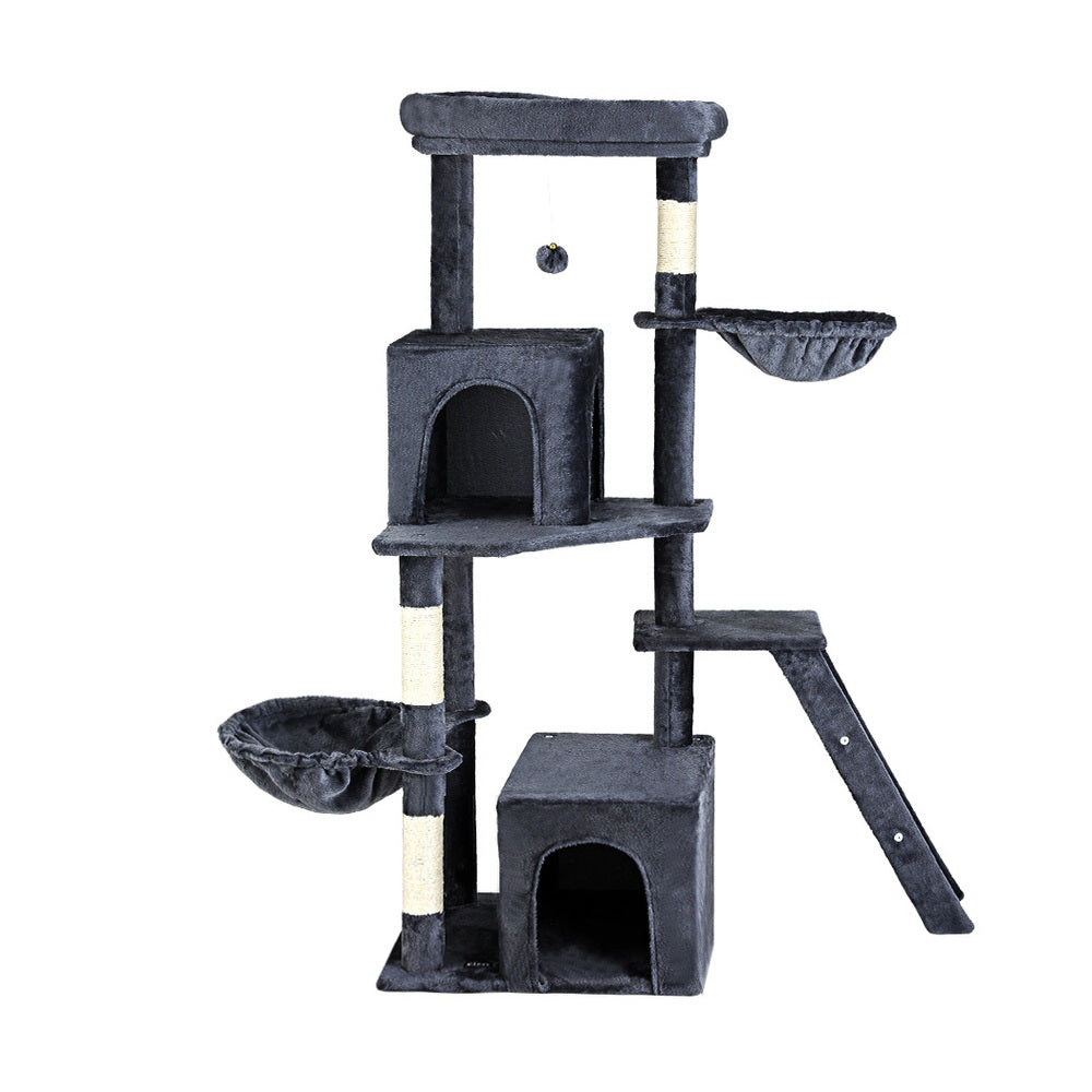 PET-CAT-M138-GR-139412-02.jpg