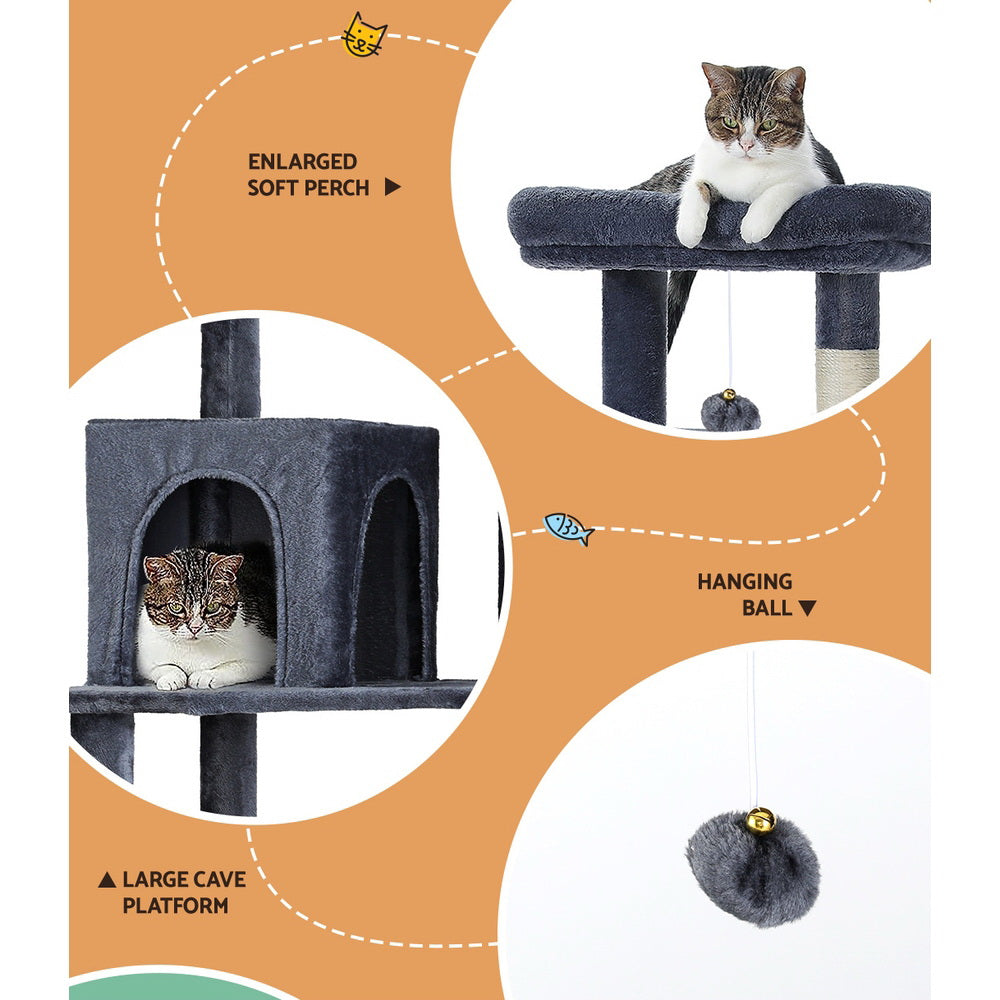 PET-CAT-M138-GR-139412-03.jpg