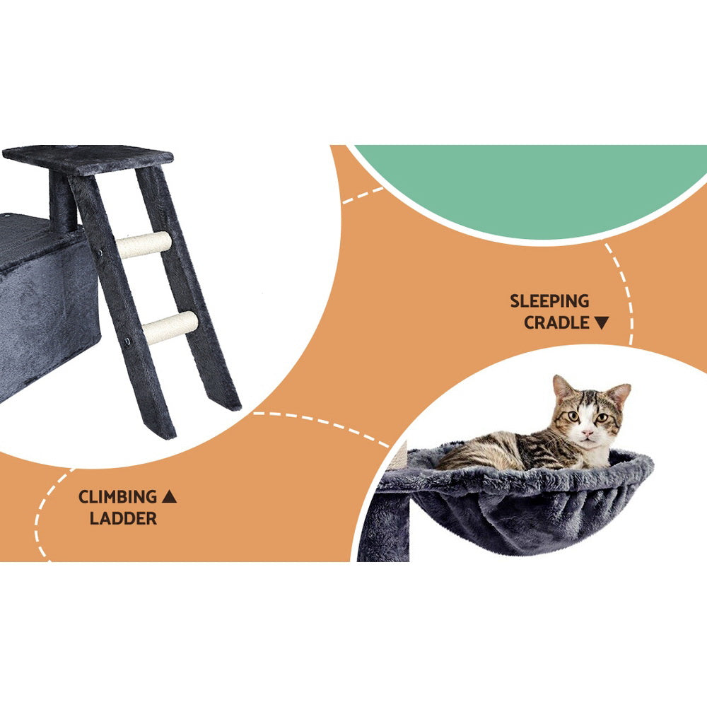 PET-CAT-M138-GR-139412-04.jpg