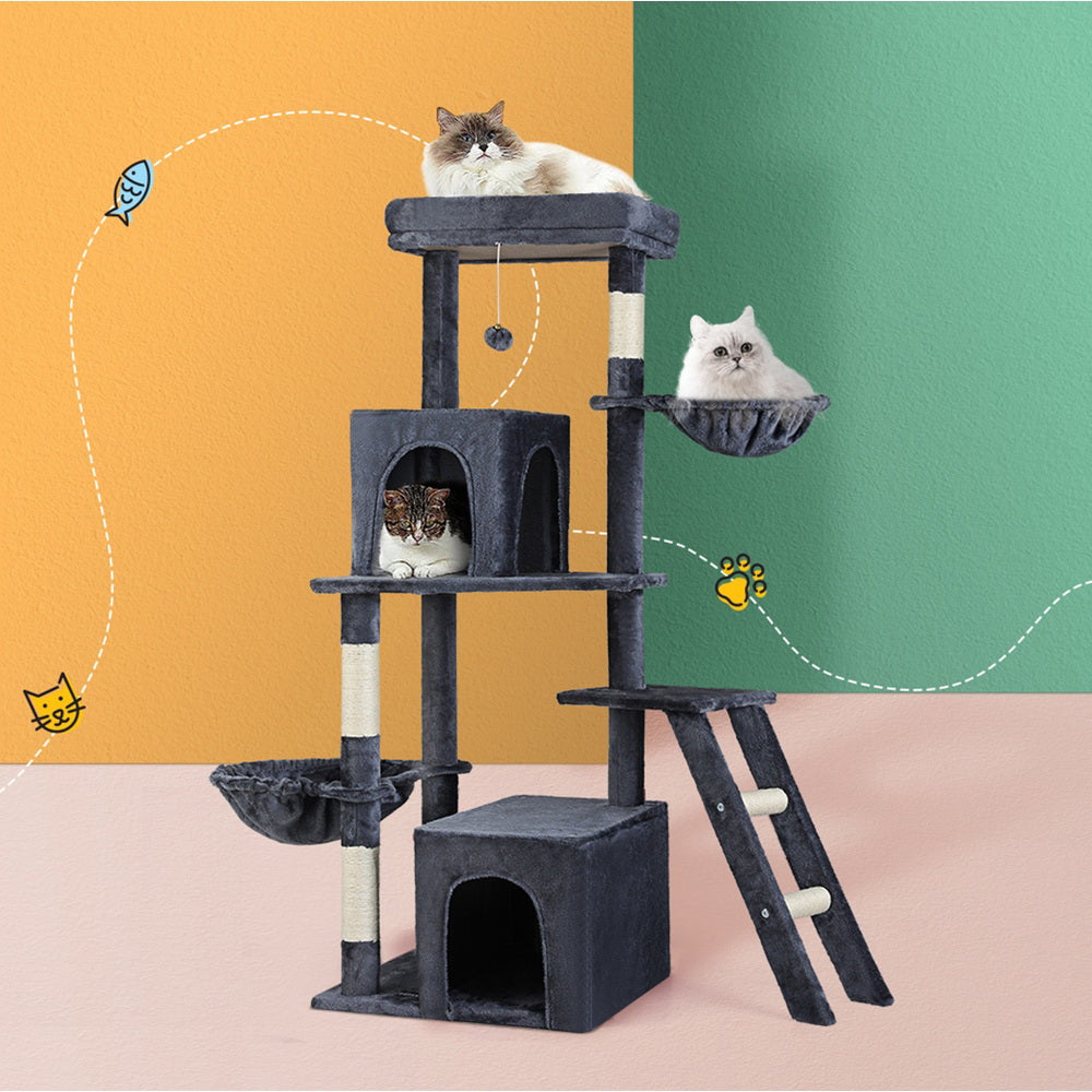 PET-CAT-M138-GR-139412-06.jpg