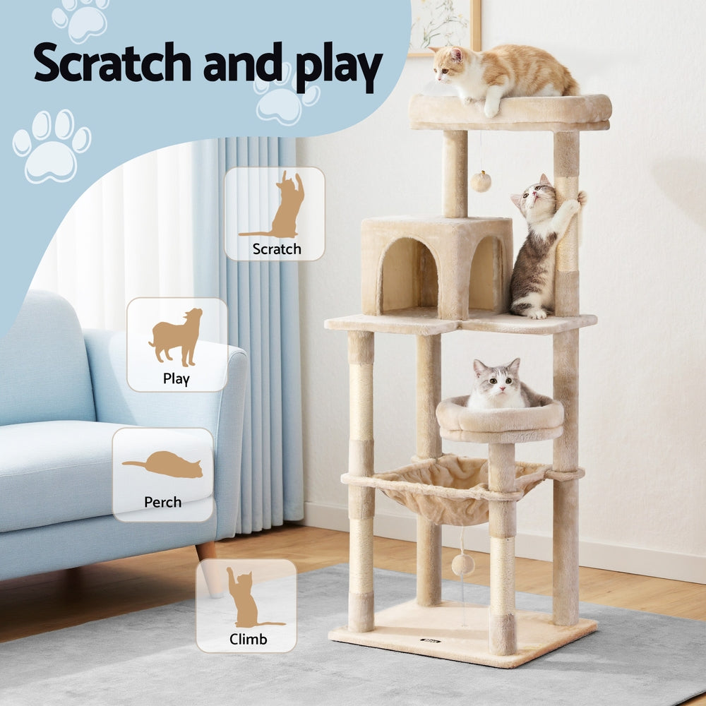 PET-CAT-M143-BE-202506111512-03.jpg