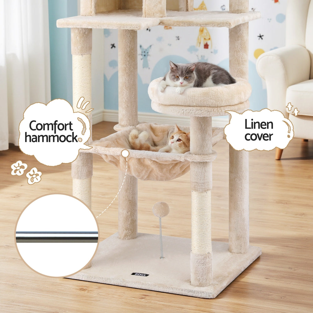 PET-CAT-M143-BE-202506111512-04.jpg