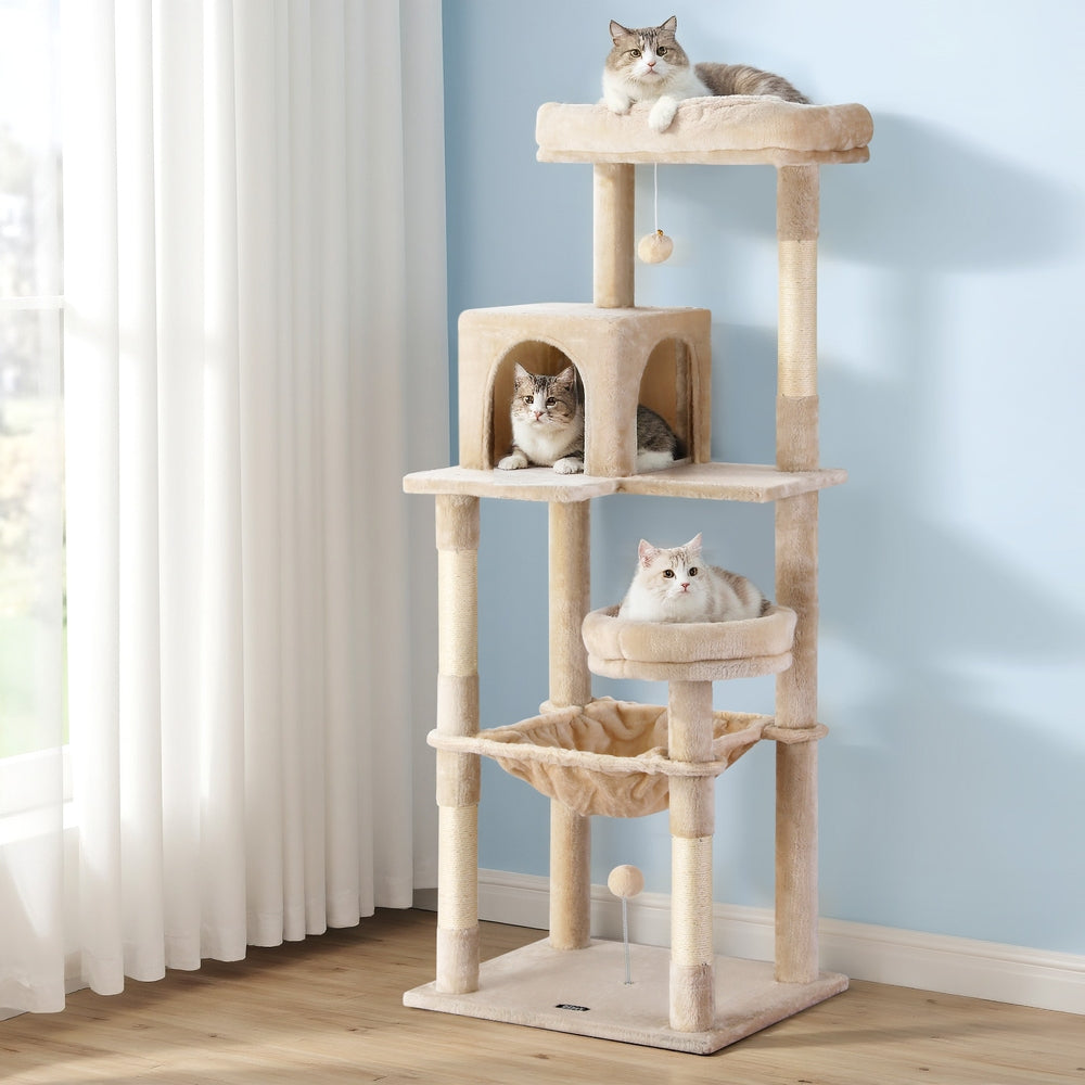 PET-CAT-M143-BE-202506111512-06.jpg