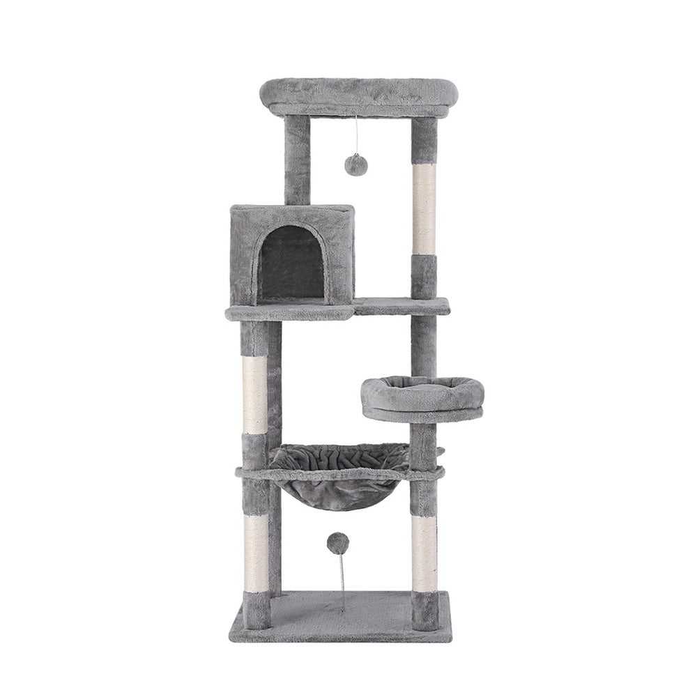 PET-CAT-M143-GR-139411-02.jpg