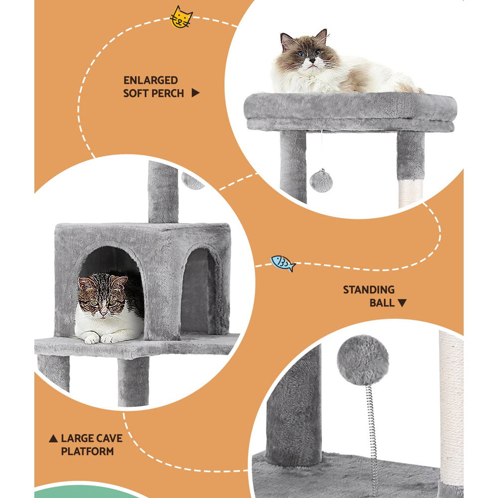 PET-CAT-M143-GR-139411-03.jpg