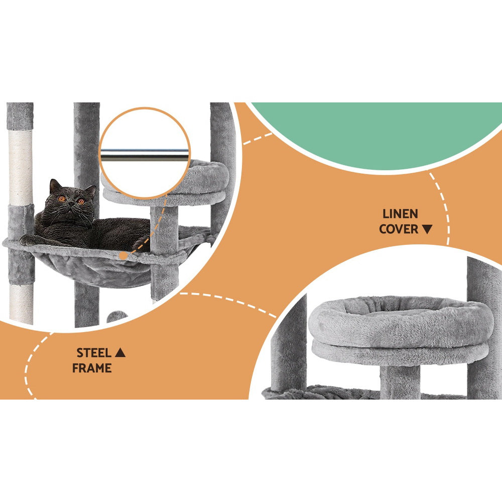 PET-CAT-M143-GR-139411-04.jpg