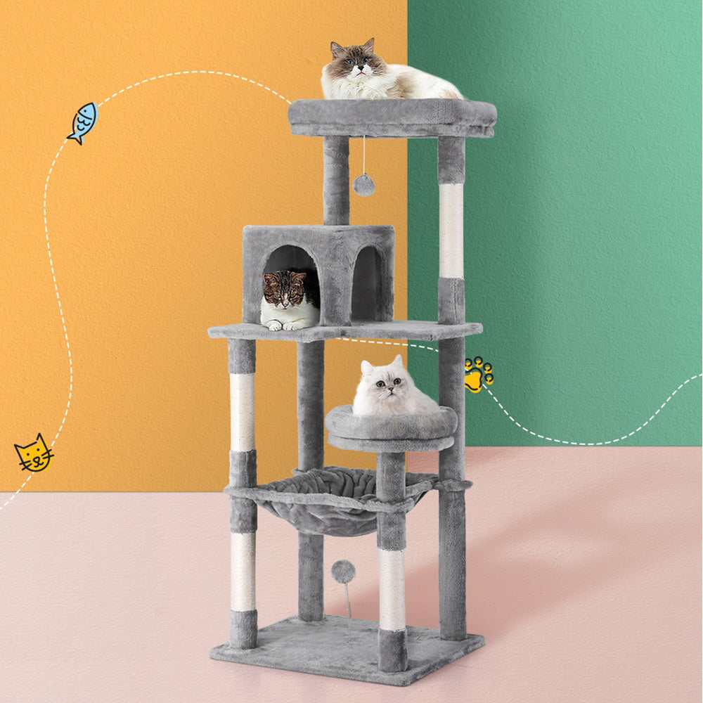 PET-CAT-M143-GR-139411-06.jpg