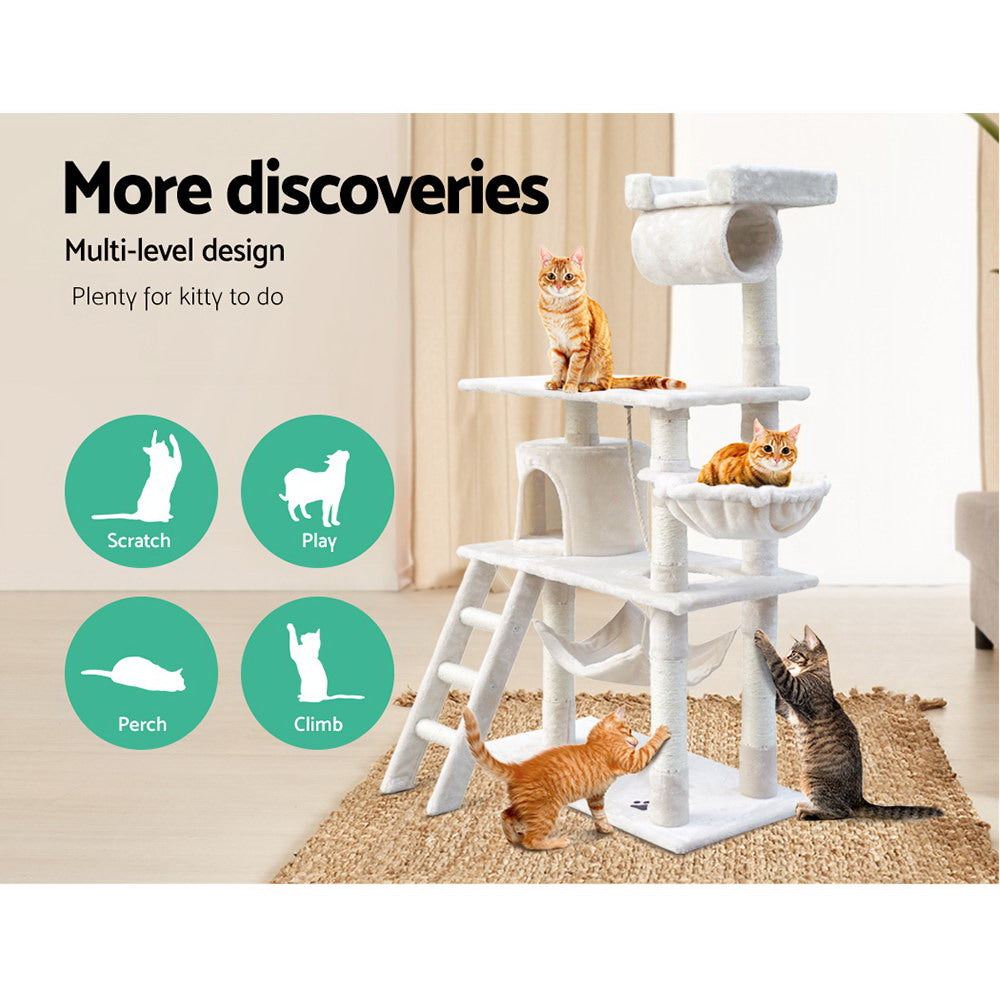 PET-CAT-PCT63-BE-5076-02.jpg