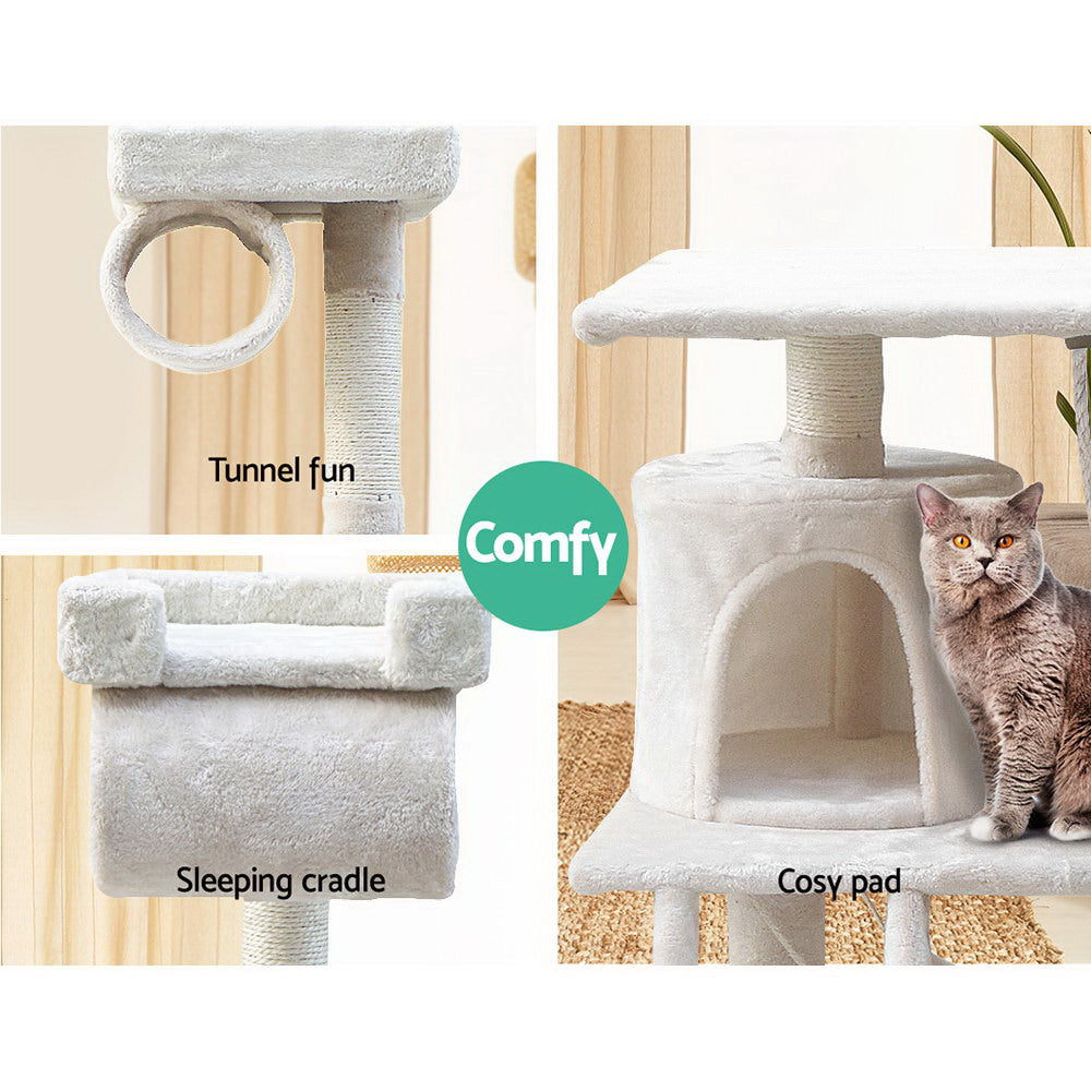 PET-CAT-PCT63-BE-5076-04.jpg