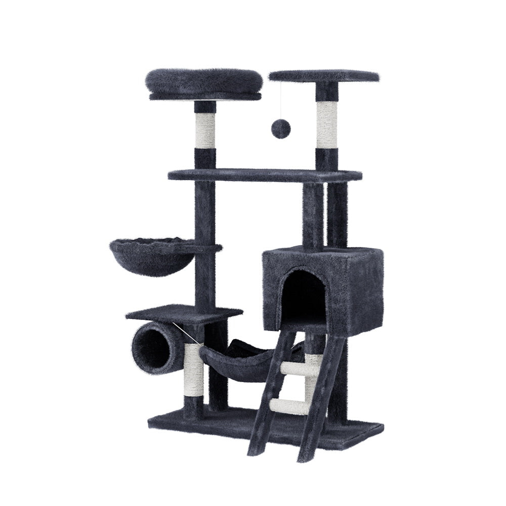 PET-CAT-PCT63N-GR-87467-00.jpg