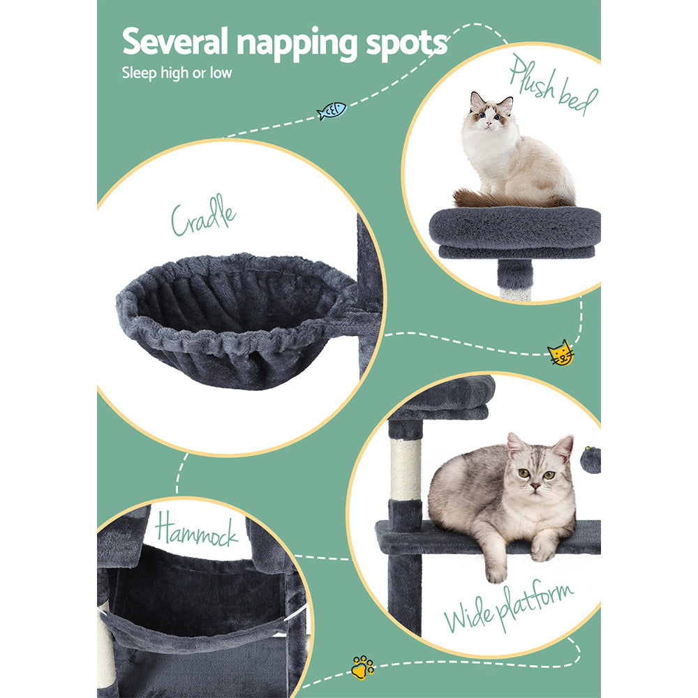 PET-CAT-PCT63N-GR-87467-04.jpg