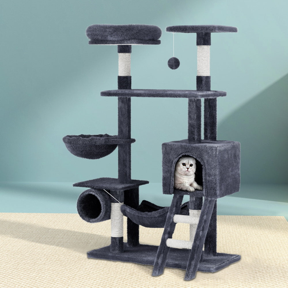 PET-CAT-PCT63N-GR-87467-06.jpg