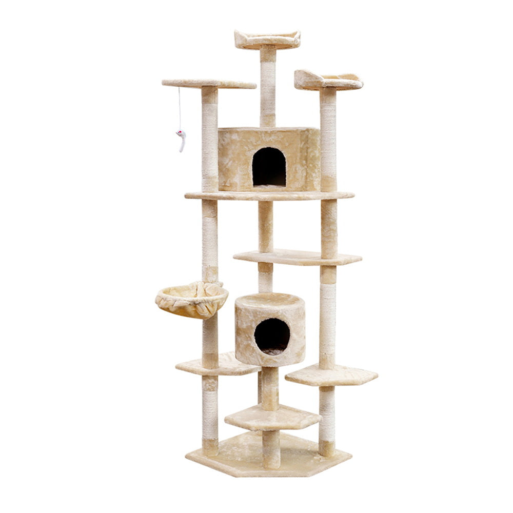 PET-CAT-PCTOP-BE-5525-02.jpg