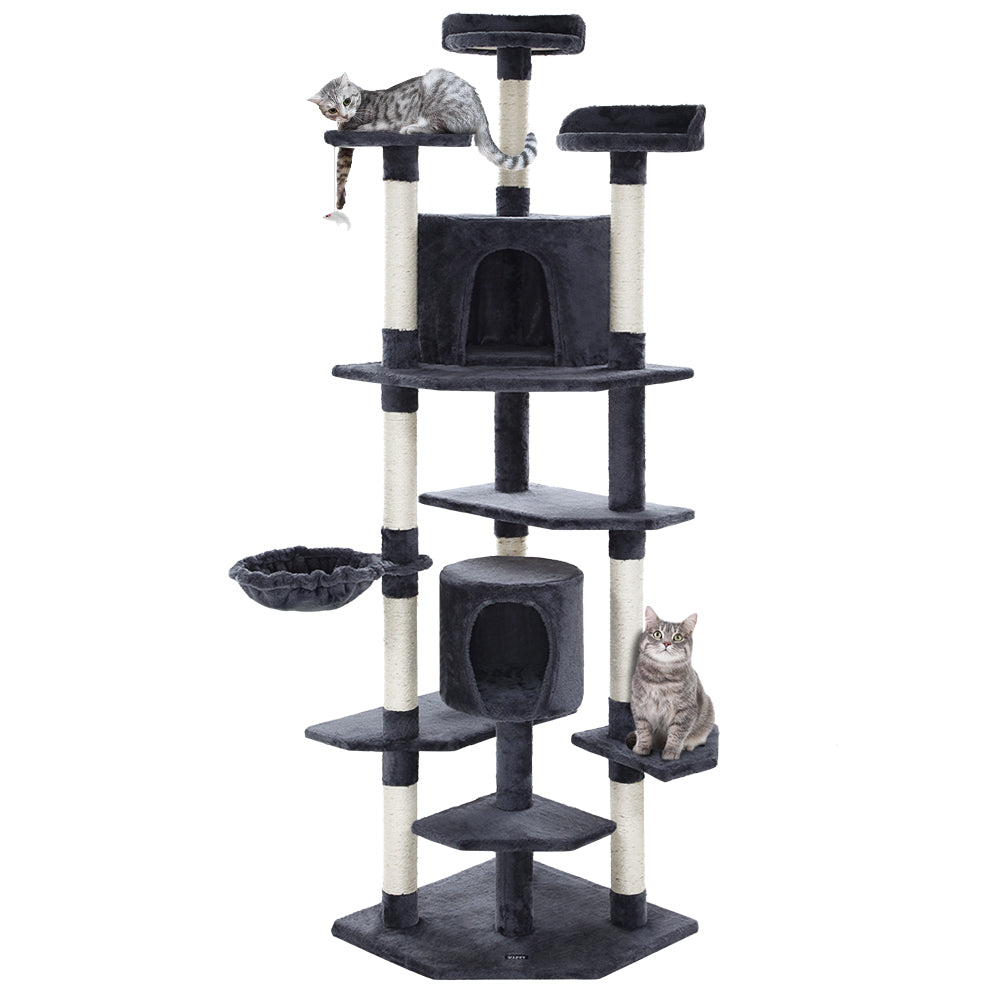 PET-CAT-PCTOP-GR-18871-00.jpg