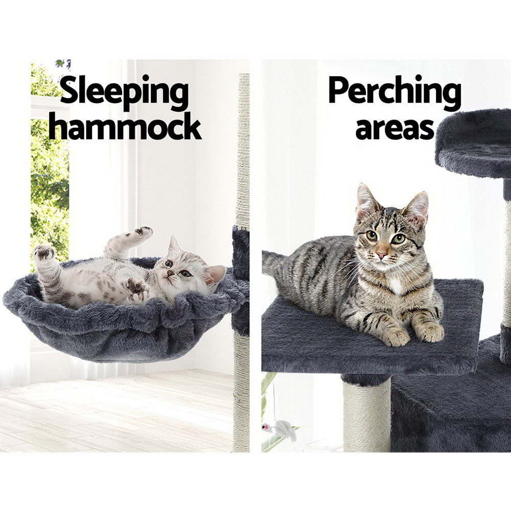PET-CAT-PCTOP-GR-18871-05.jpg