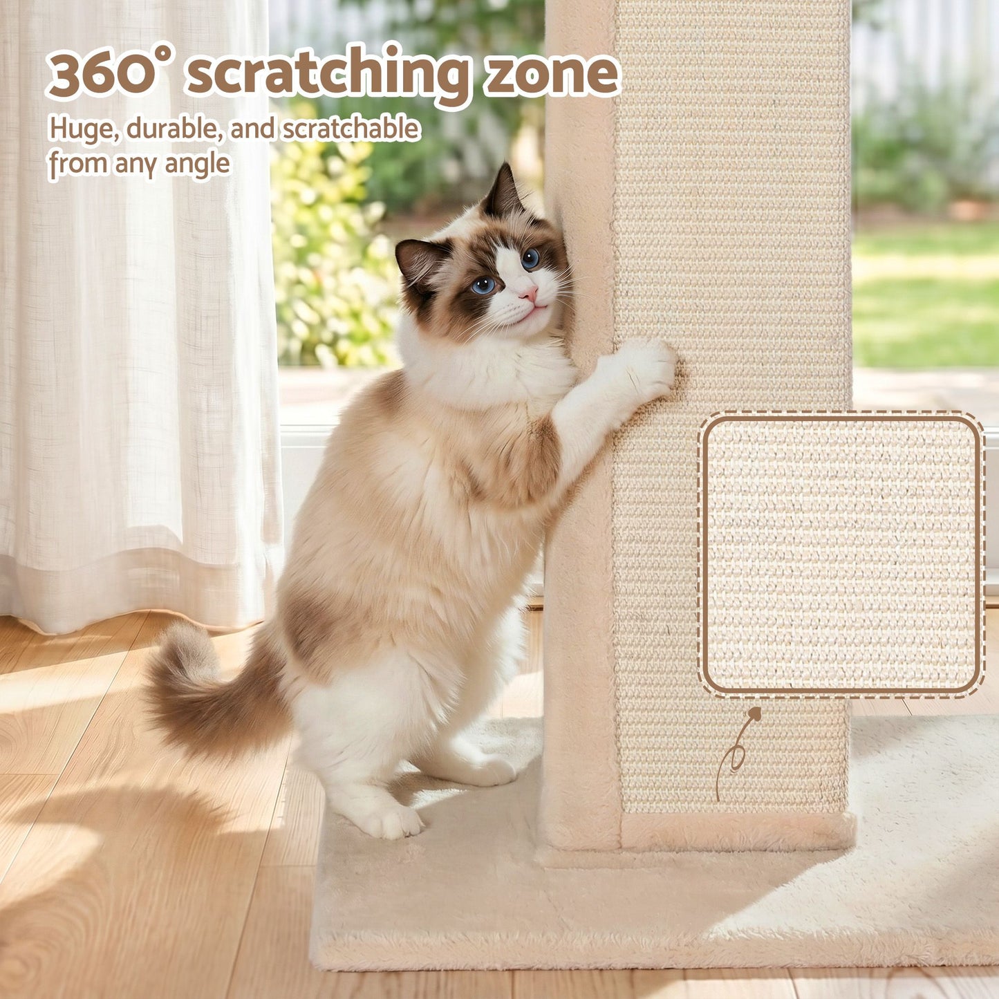 PET-CAT-PO-L-BE-06.jpg