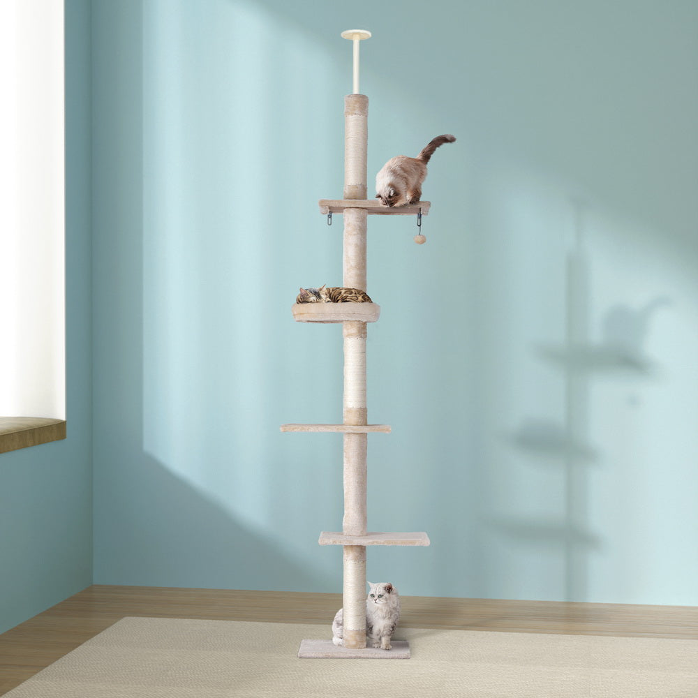 PET-CAT-POLE-BEWH-161788-04.jpg