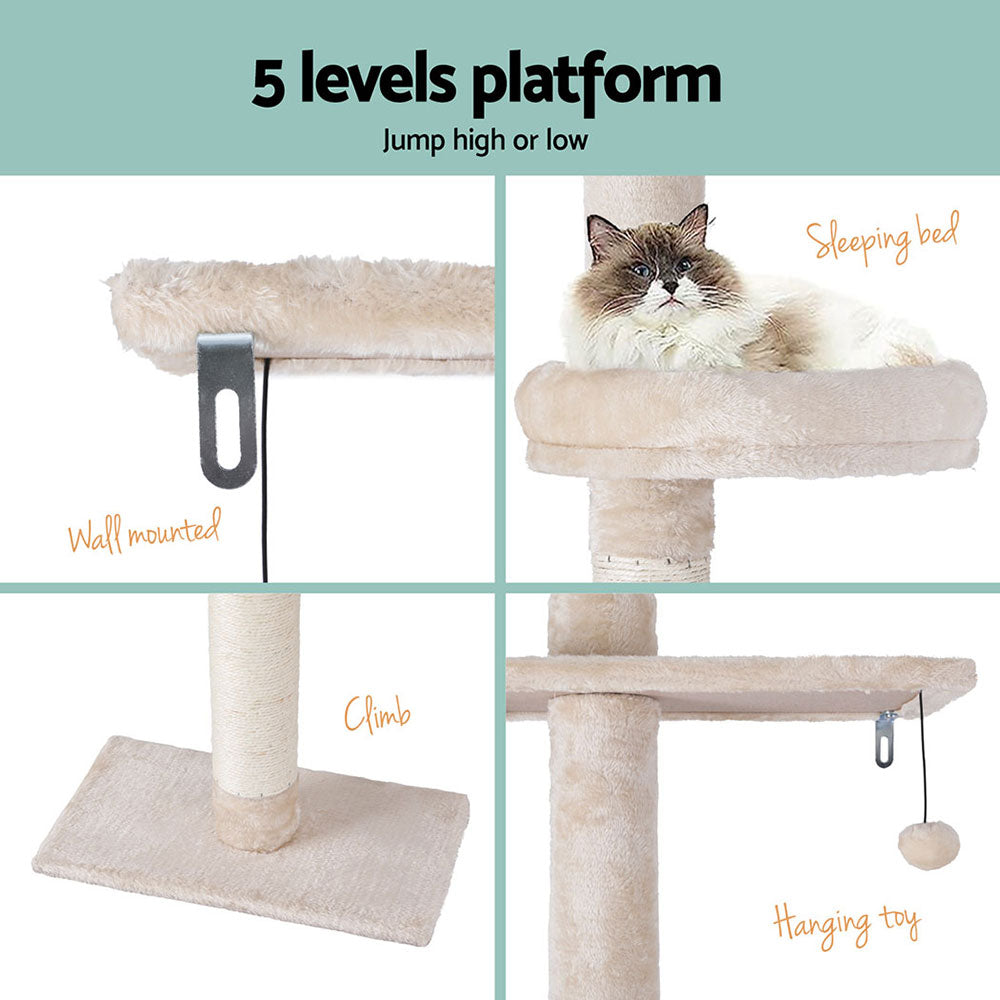 PET-CAT-POLE-BEWH-161788-06.jpg