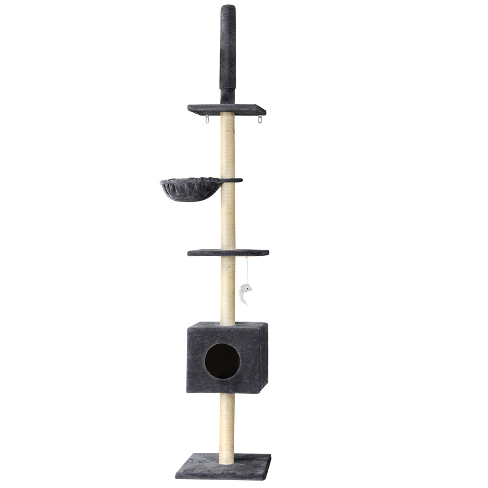 PET-CAT-POLE-DKGR-89854-00.jpg