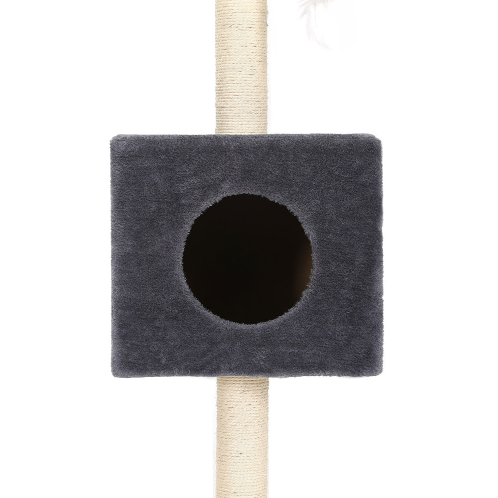 PET-CAT-POLE-DKGR-89854-03.jpg