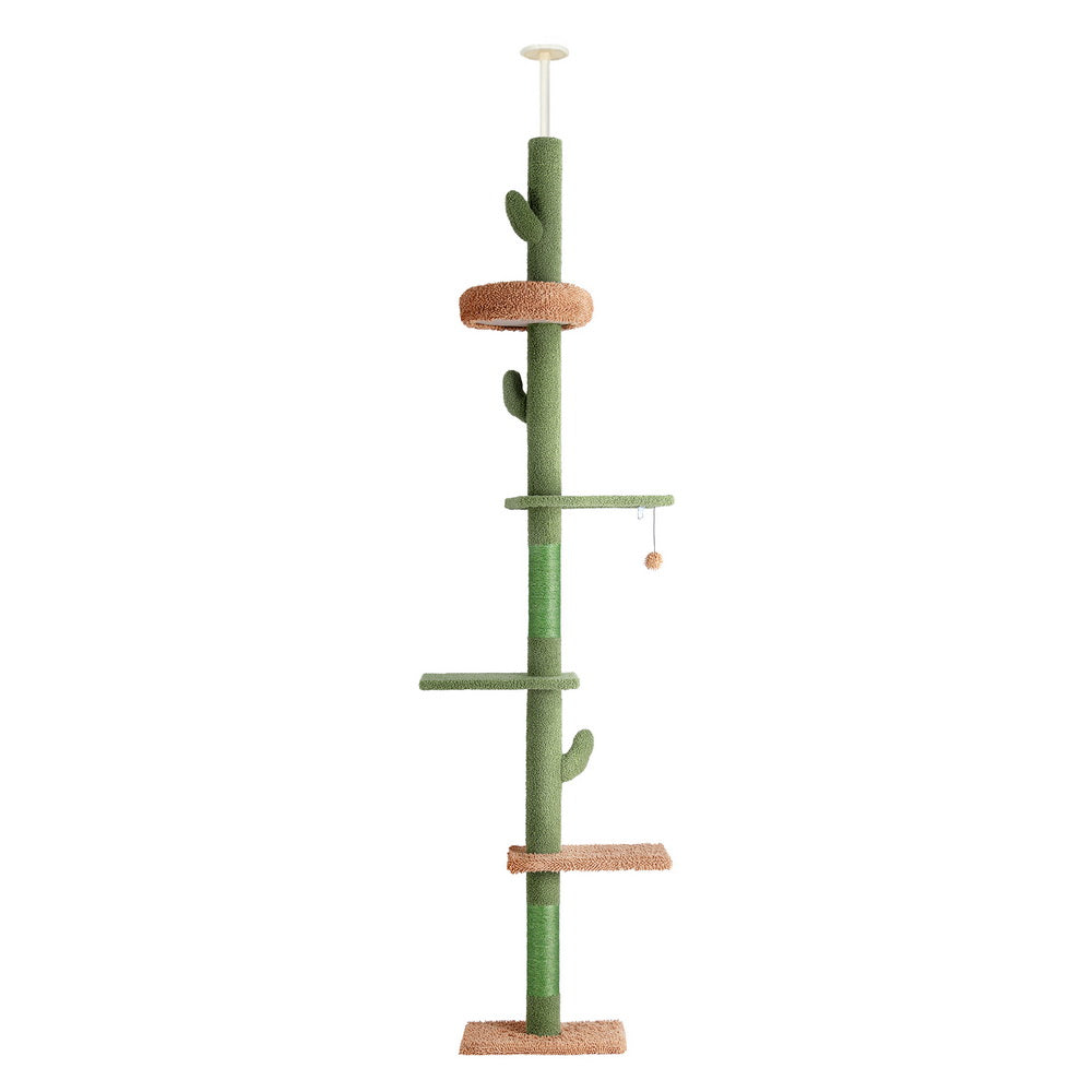 PET-CAT-POLE-GN-161786-00.jpg