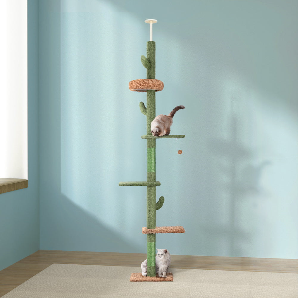 PET-CAT-POLE-GN-161786-04.jpg