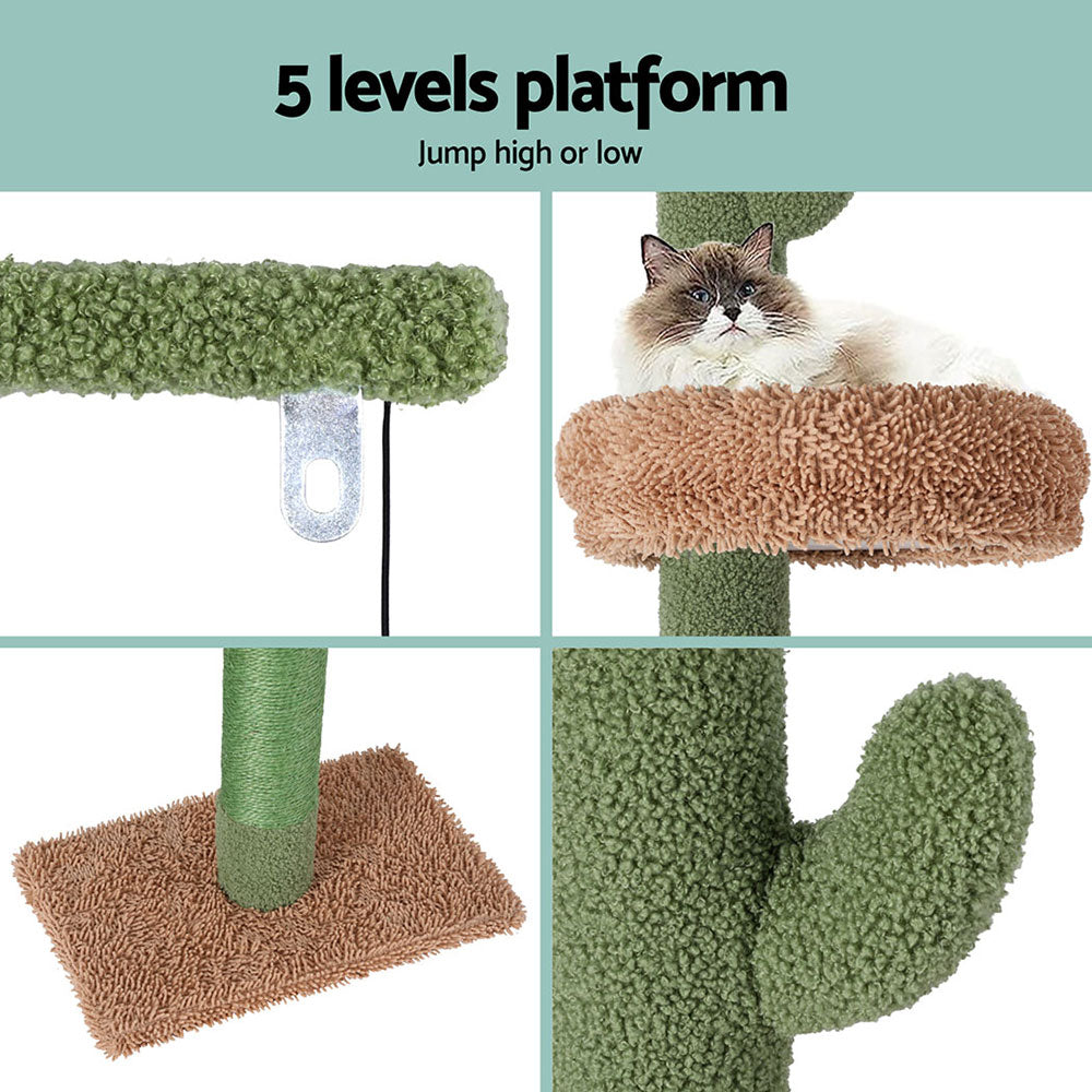 PET-CAT-POLE-GN-161786-06.jpg